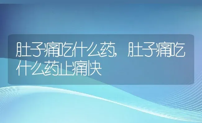 肚子痛吃什么药,肚子痛吃什么药止痛快 | 养殖科普
