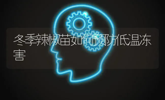 牦牛的冬季放牧技术 | 养殖技术大全