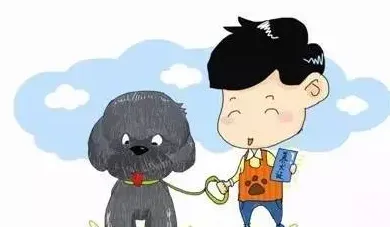 养狗注意事项,养狗注意事项？