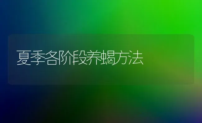 夏季各阶段养蝎方法 | 养殖知识