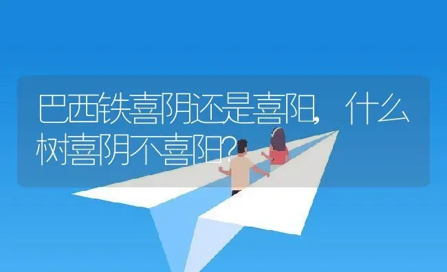 巴西铁喜阴还是喜阳,什么树喜阴不喜阳？ | 养殖科普