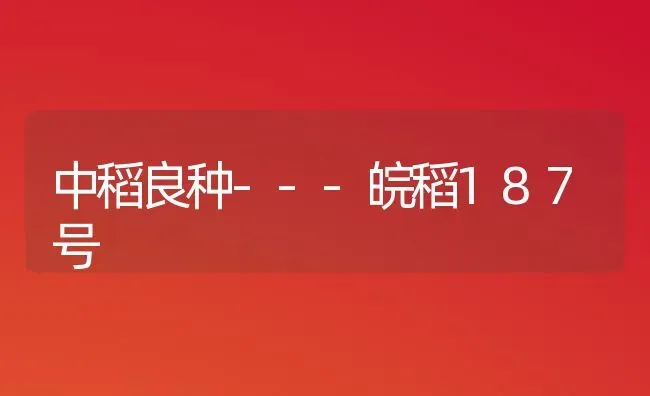 中稻良种---皖稻187号 | 养殖技术大全