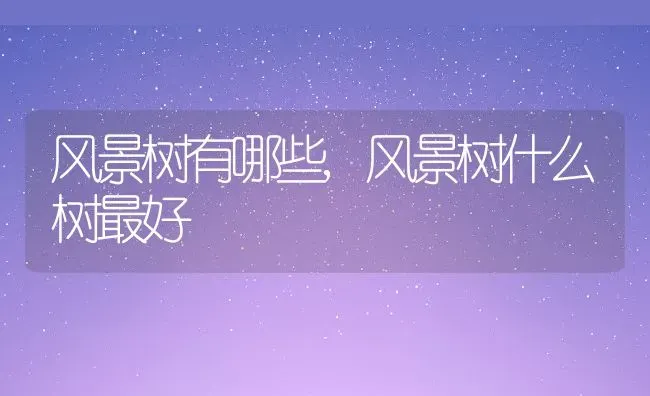 风景树有哪些,风景树什么树最好 | 养殖学堂