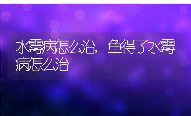 水霉病怎么治,鱼得了水霉病怎么治 | 养殖科普