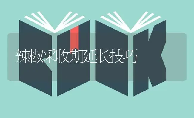 辣椒采收期延长技巧 | 养殖技术大全