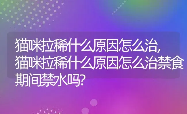 猫咪拉稀什么原因怎么治,猫咪拉稀什么原因怎么治禁食期间禁水吗? | 养殖科普