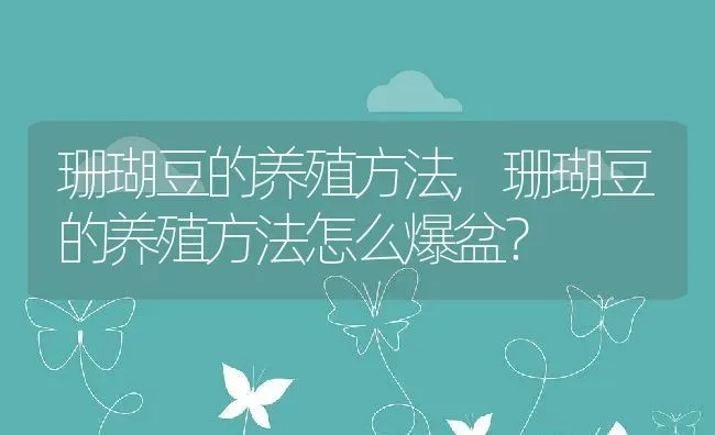 珊瑚豆的养殖方法,珊瑚豆的养殖方法怎么爆盆？ | 养殖科普