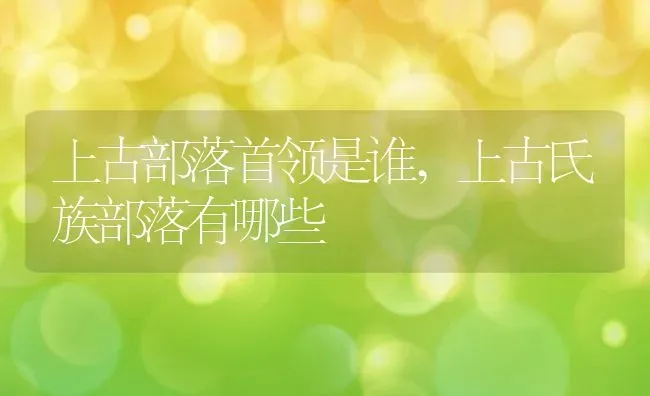 上古部落首领是谁,上古氏族部落有哪些 | 养殖学堂