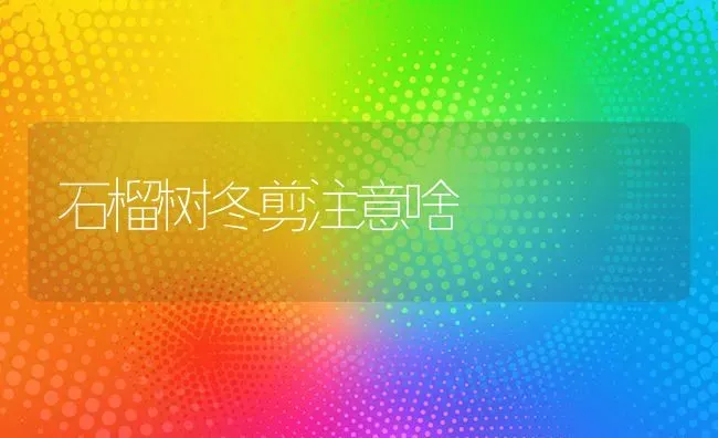 石榴树冬剪注意啥 | 养殖技术大全