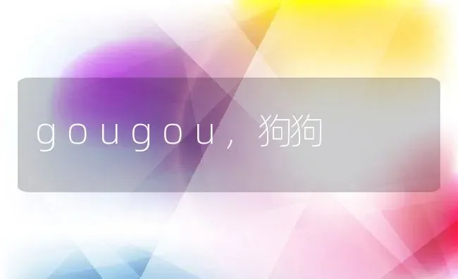 gougou,狗狗 | 养殖资料