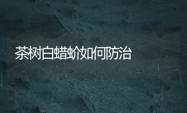茶树白蜡蚧如何防治 | 养殖技术大全