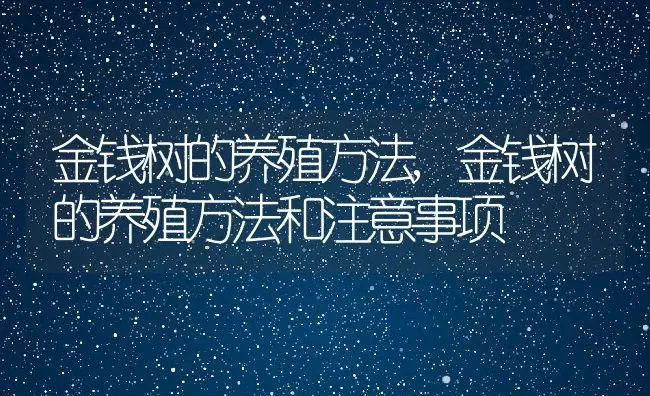 金钱树的养殖方法,金钱树的养殖方法和注意事项 | 养殖资料