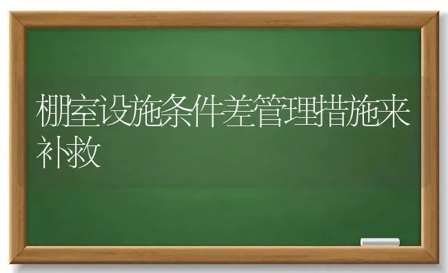 棚室设施条件差管理措施来补救 | 养殖技术大全