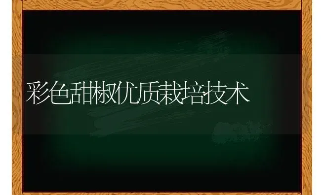 彩色甜椒优质栽培技术 | 养殖技术大全