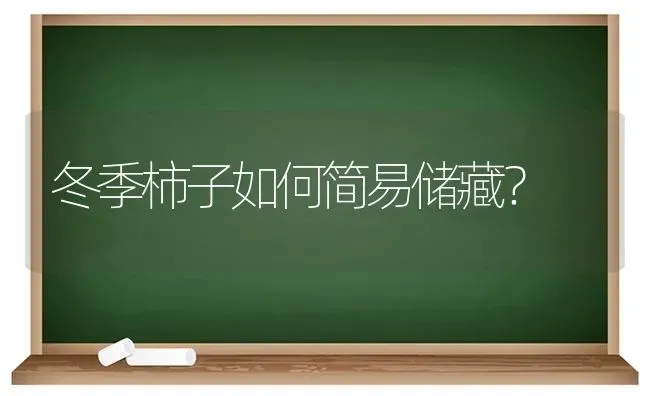 冬季柿子如何简易储藏? | 养殖技术大全