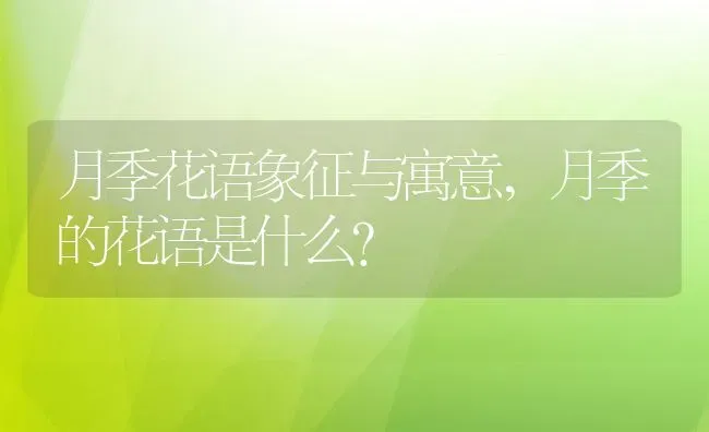 月季花语象征与寓意,月季的花语是什么？ | 养殖科普