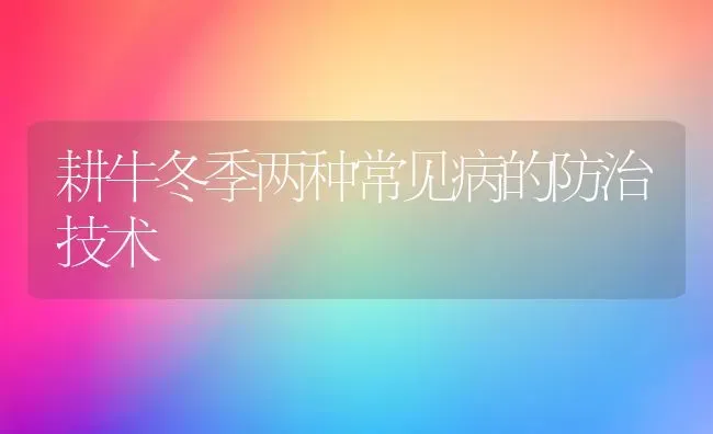 耕牛冬季两种常见病的防治技术 | 养殖技术大全