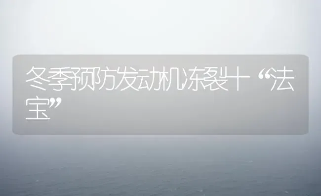 冬季预防发动机冻裂十“法宝” | 养殖知识
