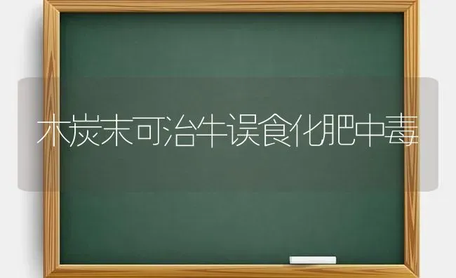 木炭末可治牛误食化肥中毒 | 养殖技术大全