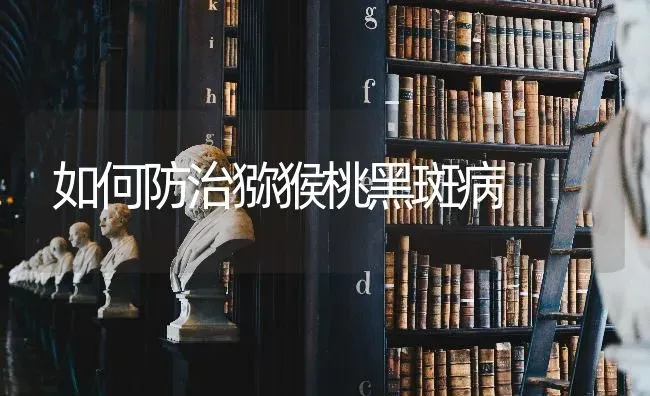 如何防治猕猴桃黑斑病 | 养殖技术大全