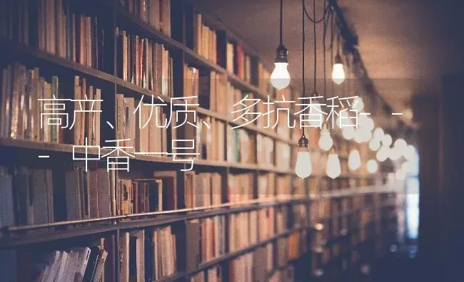 高产、优质、多抗香稻---中香一号 | 养殖技术大全