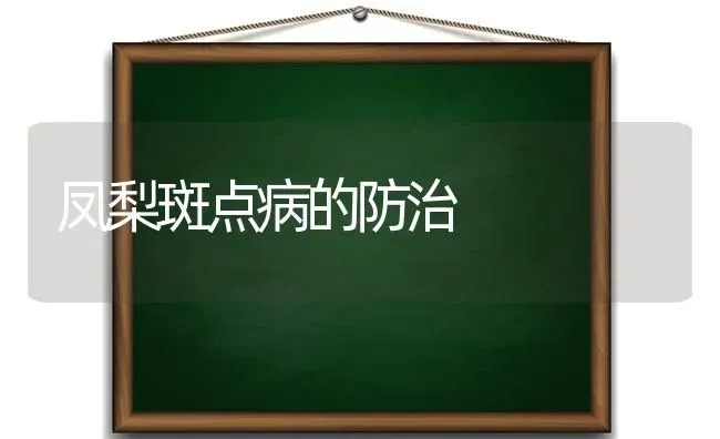 凤梨斑点病的防治 | 养殖知识