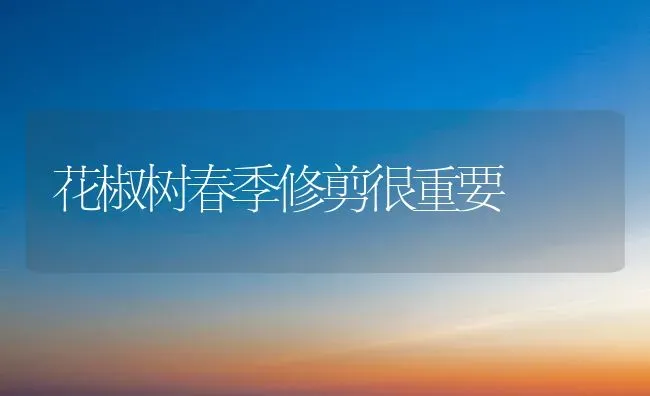 花椒树春季修剪很重要 | 养殖技术大全