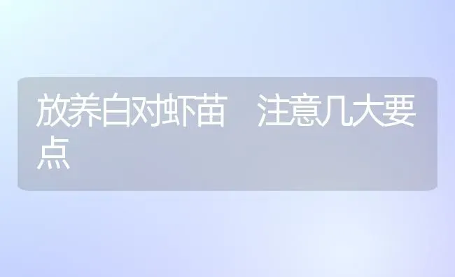 放养白对虾苗　注意几大要点 | 养殖技术大全