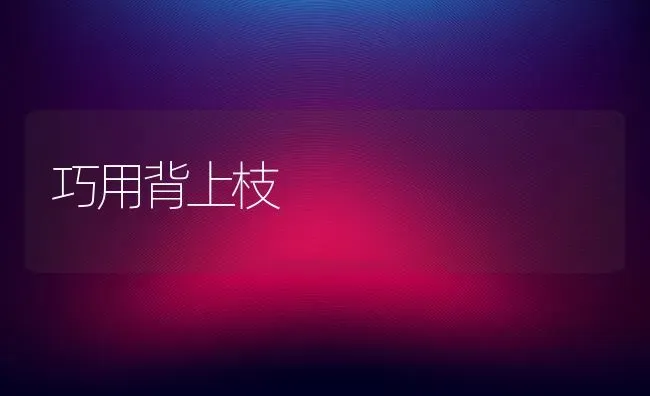 巧用背上枝 | 养殖技术大全