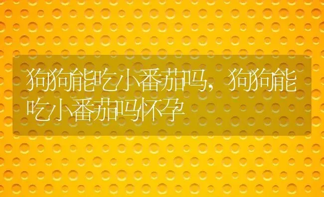 狗狗能吃小番茄吗,狗狗能吃小番茄吗怀孕 | 养殖资料