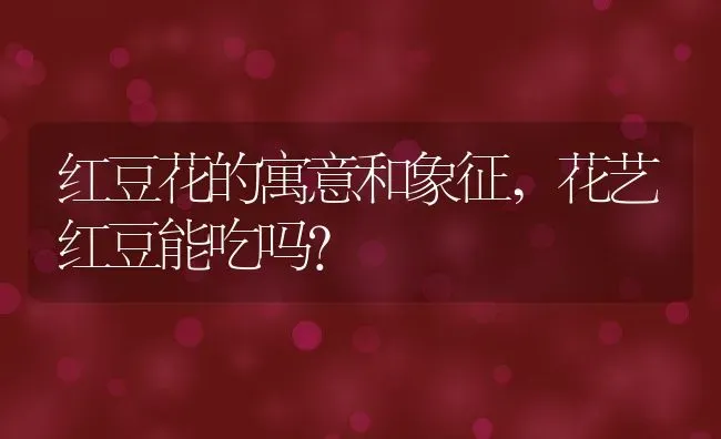 红豆花的寓意和象征,花艺红豆能吃吗？ | 养殖科普