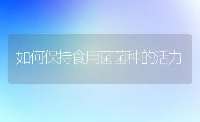 如何保持食用菌菌种的活力 | 养殖技术大全