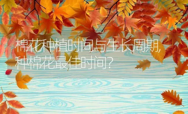 棉花种植时间与生长周期,种棉花最佳时间？ | 养殖学堂