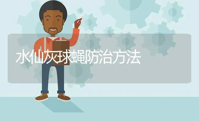 水仙灰球蝇防治方法 | 养殖知识