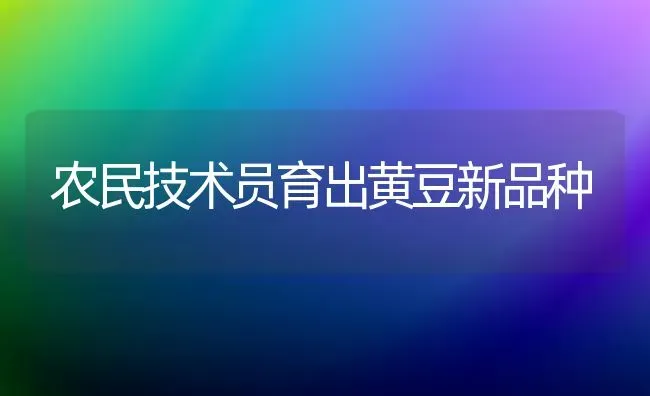 农民技术员育出黄豆新品种 | 养殖知识