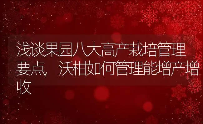 浅谈果园八大高产栽培管理要点,沃柑如何管理能增产增收 | 养殖学堂