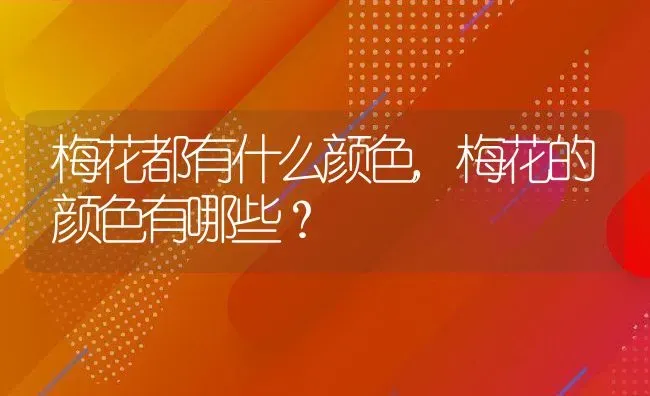 梅花都有什么颜色,梅花的颜色有哪些？ | 养殖科普