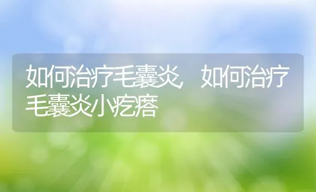 如何治疗毛囊炎,如何治疗毛囊炎小疙瘩 | 养殖资料