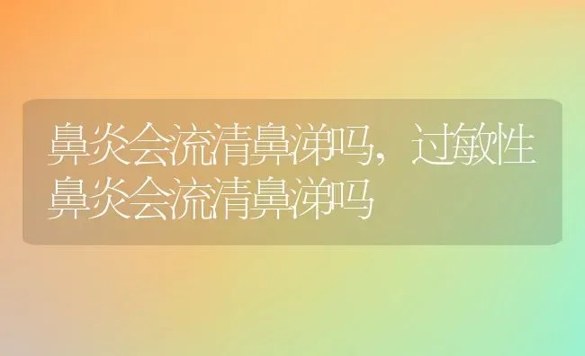 鼻炎会流清鼻涕吗,过敏性鼻炎会流清鼻涕吗 | 养殖科普