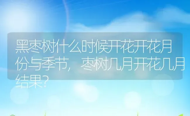猫咪发烧怎么办,猫咪发烧怎么办怎样退烧快 | 养殖资料