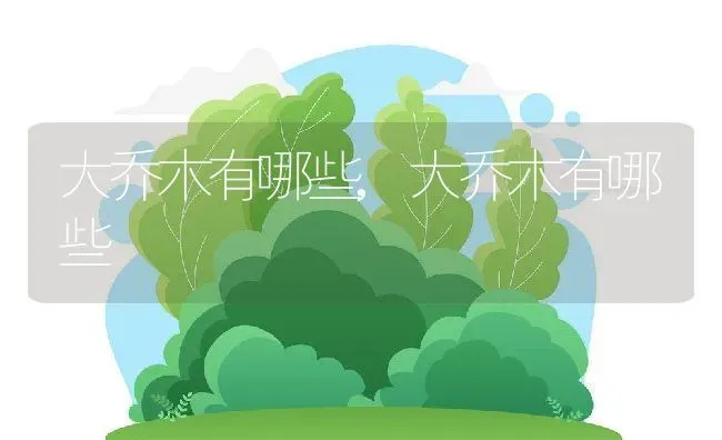 大乔木有哪些,大乔木有哪些 | 养殖科普