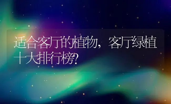 小兔子的特点,小兔子的特点作文 | 养殖科普