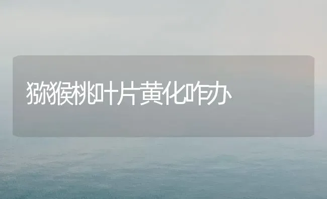 猕猴桃叶片黄化咋办 | 养殖技术大全