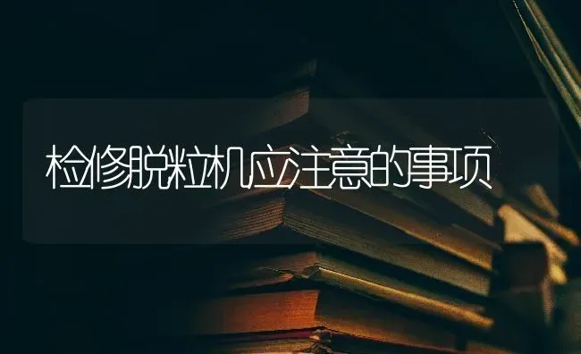 检修脱粒机应注意的事项 | 养殖技术大全