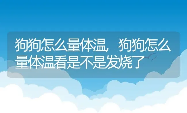 狗狗怎么量体温,狗狗怎么量体温看是不是发烧了 | 养殖科普