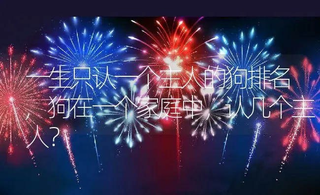 一生只认一个主人的狗排名,狗在一个家庭中，认几个主人？ | 养殖科普