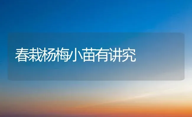 冬季蜜蜂管理十注意 | 养殖技术大全