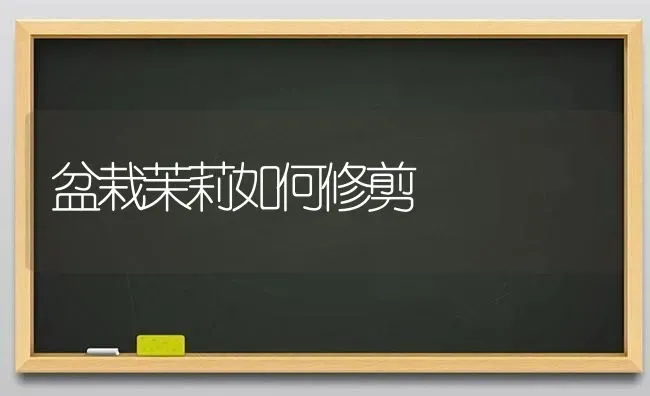 盆栽茉莉如何修剪 | 养殖知识