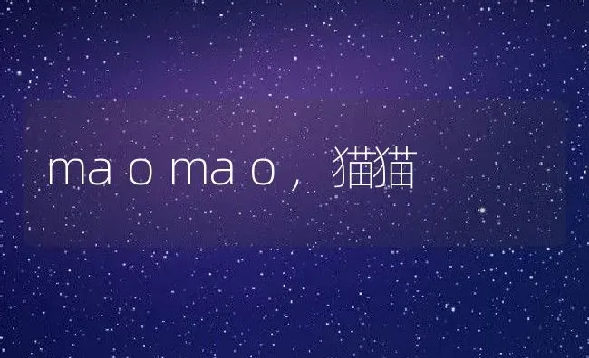 maomao,猫猫 | 养殖科普