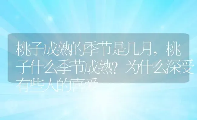 桃子成熟的季节是几月,桃子什么季节成熟?为什么深受有些人的喜爱 | 养殖学堂